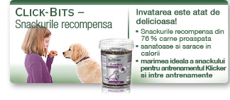 Click-Bits - snackuri recompensa