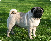 Queeny von Beusloe
