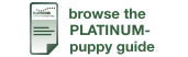 PLATINUM Puppyguide:un cățel se mută în casa ta