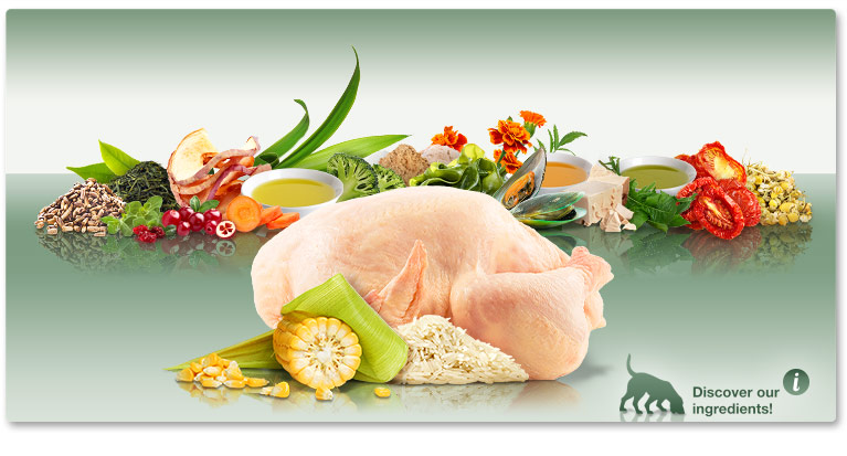 PLATINUM Adult Chicken – alternativa la mâncarea normală pentru câini