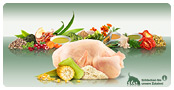 Adult Chicken hrana uscata câini image 1