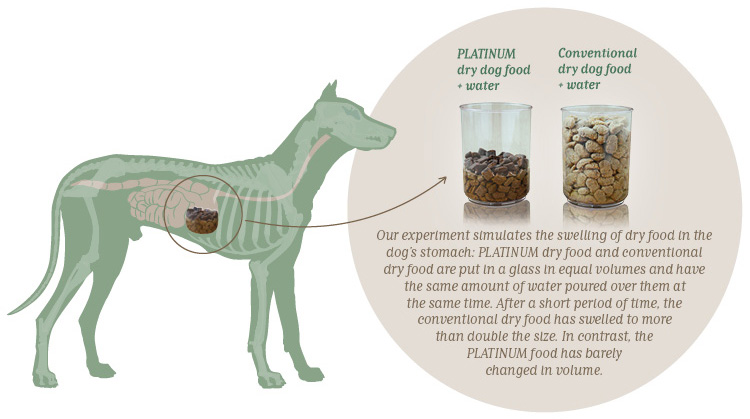 Mâncarea uscată pentru câini PLATINUM nu se umflă în stomac!