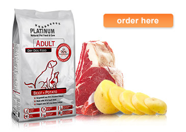PLATINUM Adult Beef+Potato informații despre produs din gama hrană uscată pentru câini